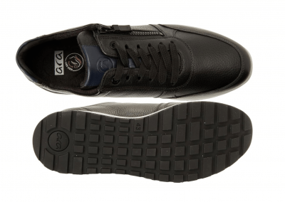 Collection Ara homme