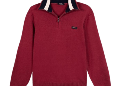 Pull camionneur TBS