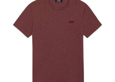 Tee-shirt coton TBS